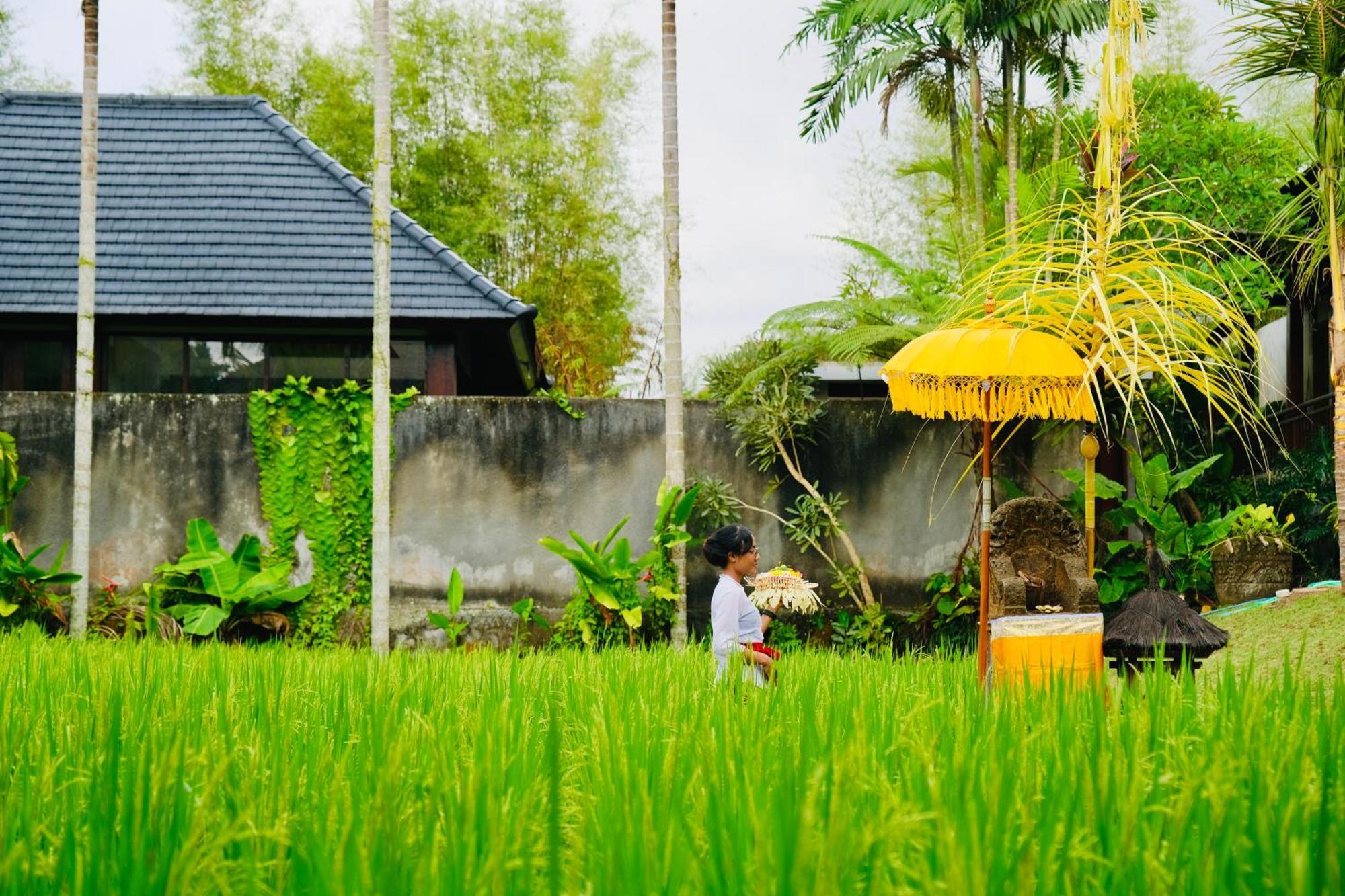 Wana Karsa The Villas Ubud Eksteriør billede