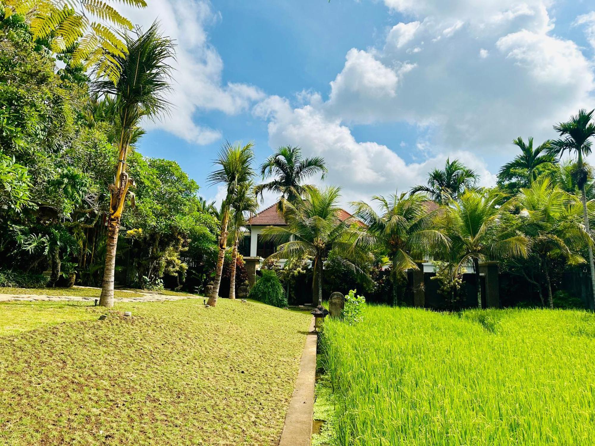 Wana Karsa The Villas Ubud Eksteriør billede